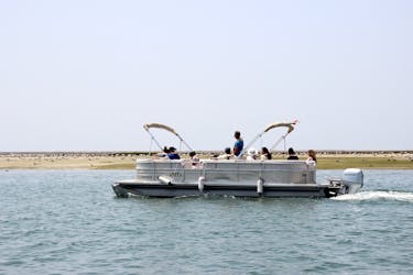 Paseo en barco de observación de aves por la Ría Formosa